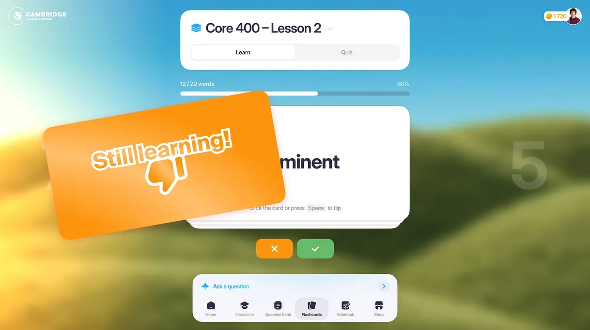 Flashcards